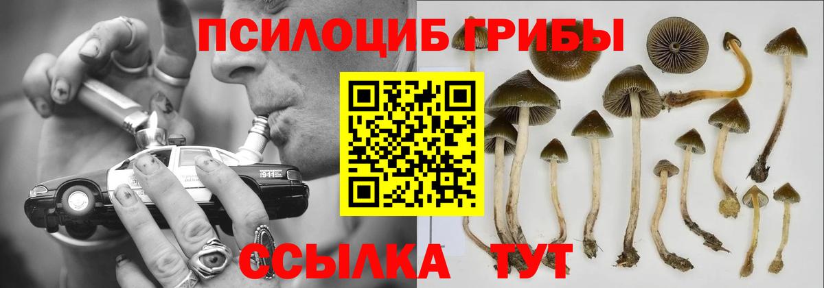 Псилоцибиновые грибы MAGIC MUSHROOMS  Вход с VPN  Иваново 